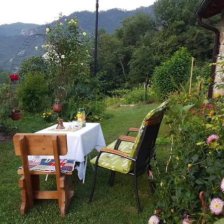Holiday Kraljica