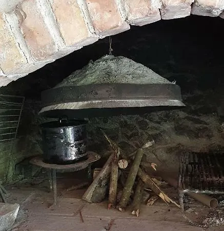 Holiday Kraljica Nyaraló