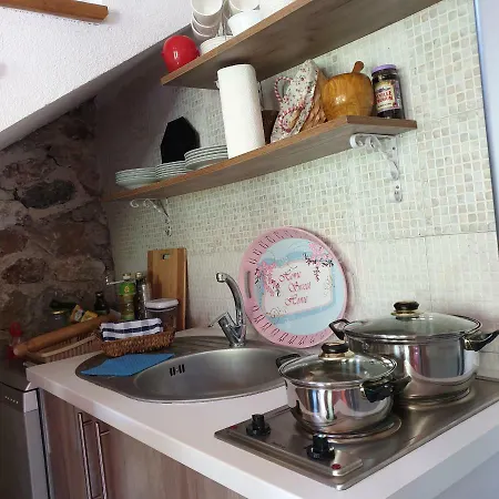 Holiday Kraljica * Konjic