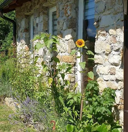 Holiday Kraljica